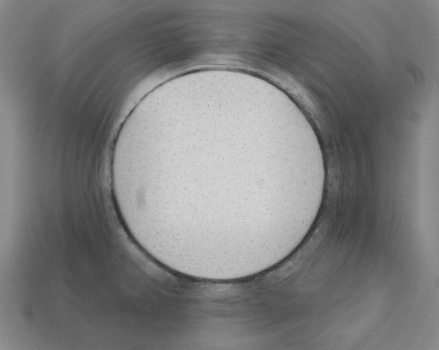 X0000112761382200910011207