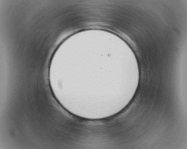 X0000112761384200910011207
