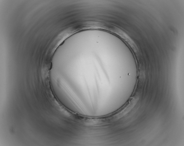 X0000112761385200910011207