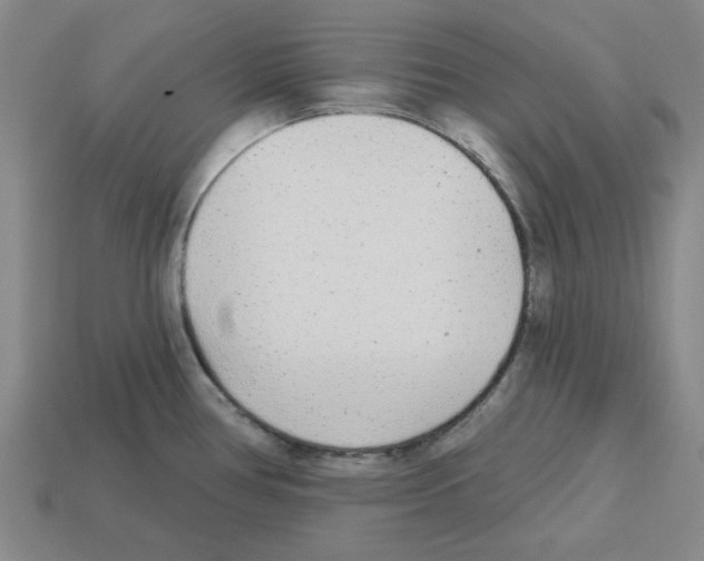 X0000112761386200910011207