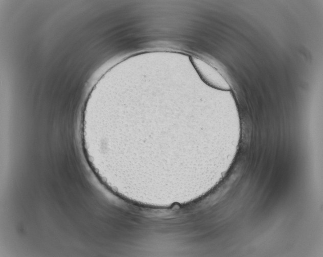 X0000112761387200910011206