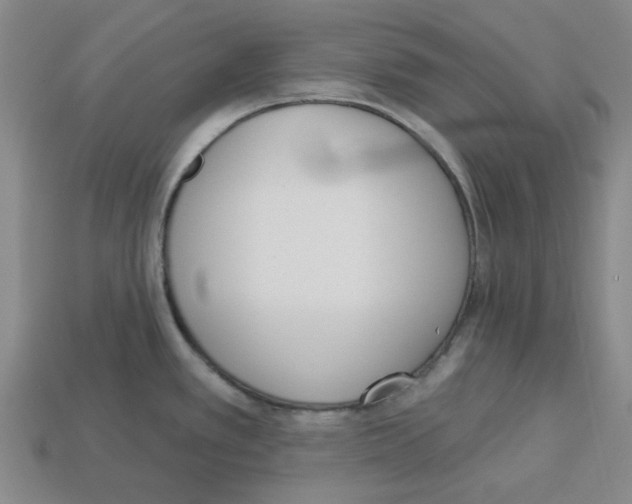 X0000112761389200910011206