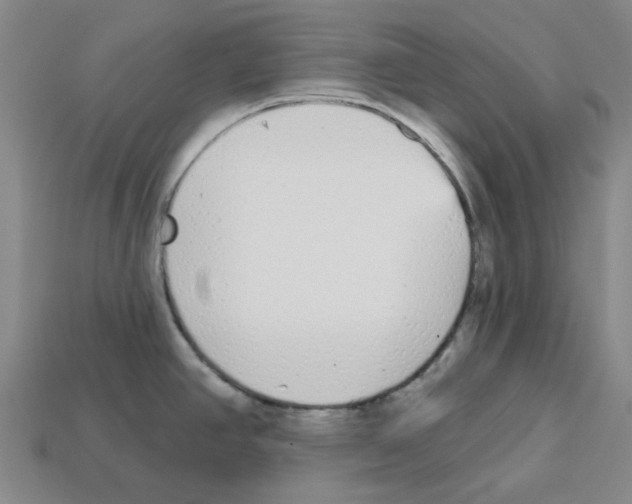 X0000112761390200910011206