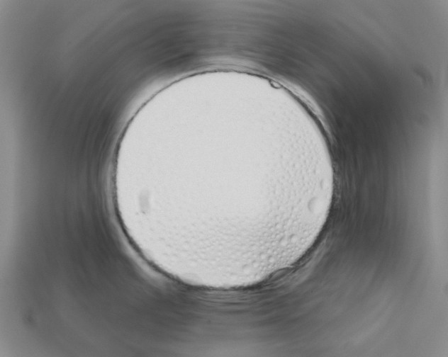 X0000112761391200910011206