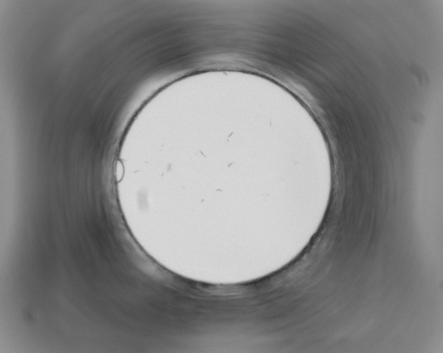 X0000112761392200910011206
