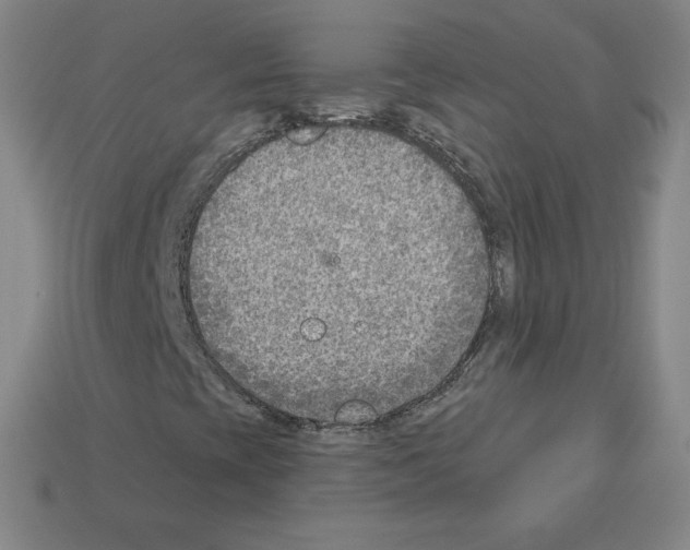 X0000112761393200910011206