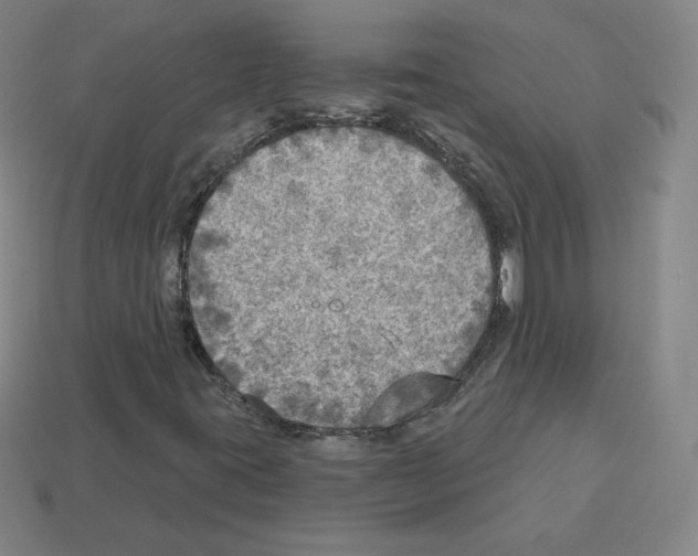 X0000112761395200910011206