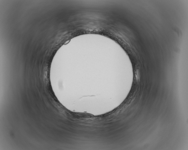 X0000112761396200910011206