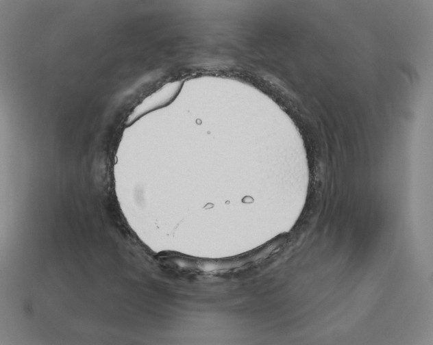X0000112761398200910011206