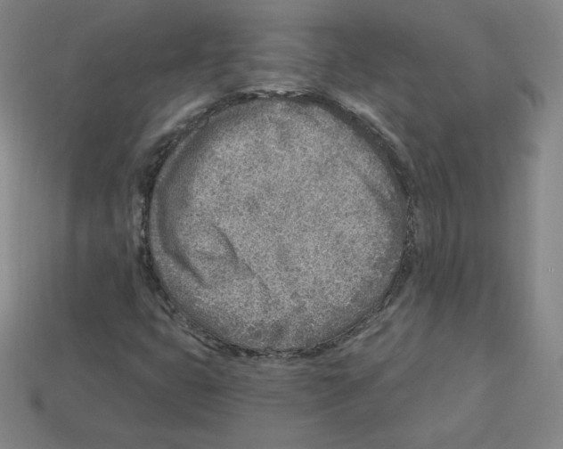 X0000112761399200910011206