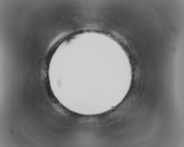 X0000112761400200910011206