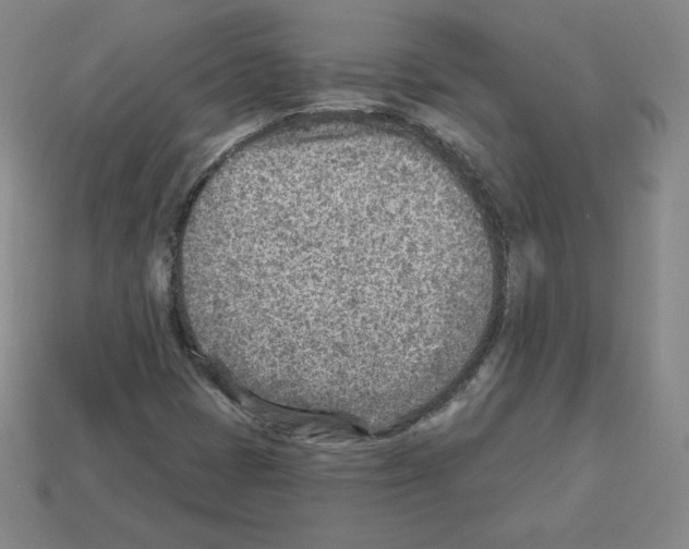X0000112761401200910011206