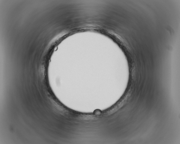 X0000112761402200910011206