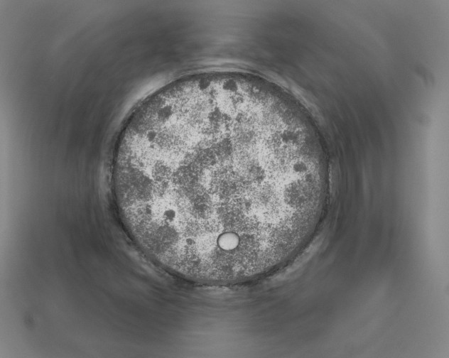 X0000112761405200910011206