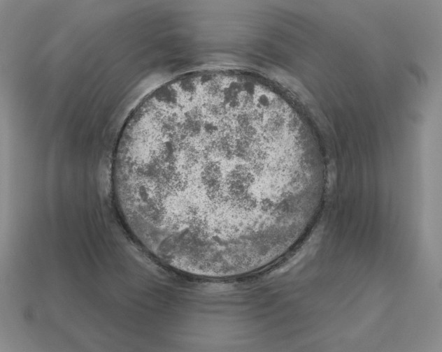 X0000112761409200910011206