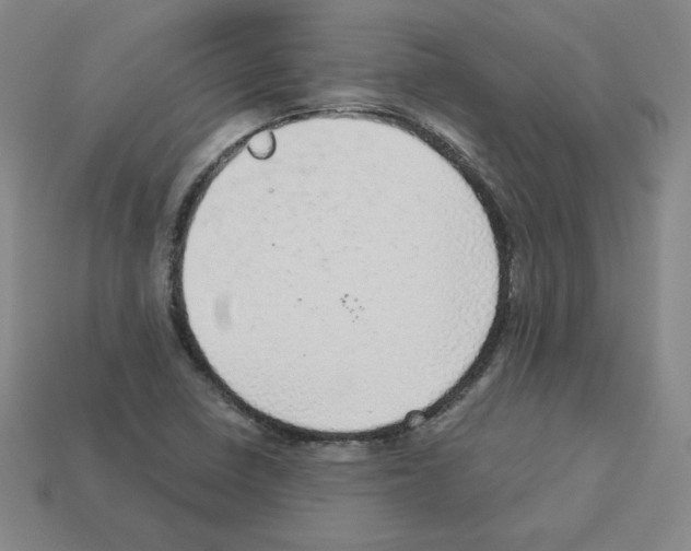 X0000112761410200910011206