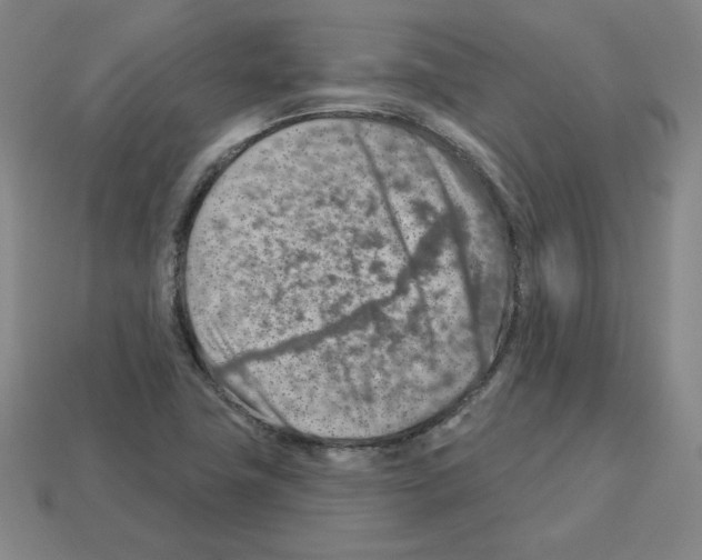 X0000112761411200910011206