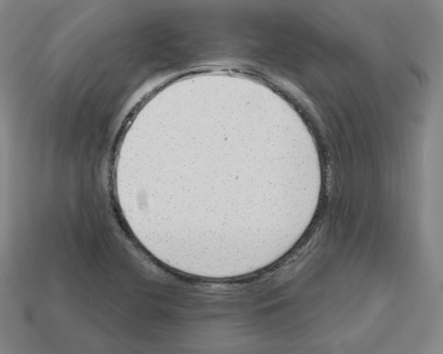X0000112761412200910011206