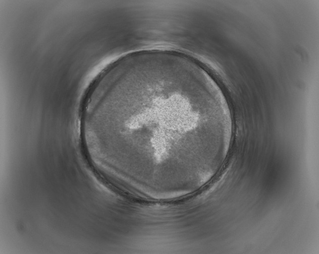 X0000112761414200910011206