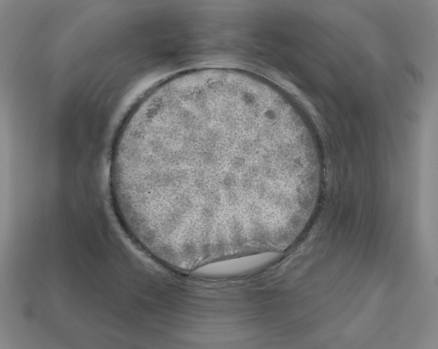 X0000112761416200910011206