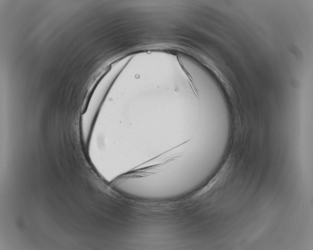 X0000112761417200910011206
