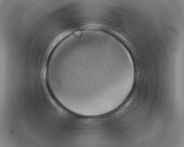 X0000112761418200910011206