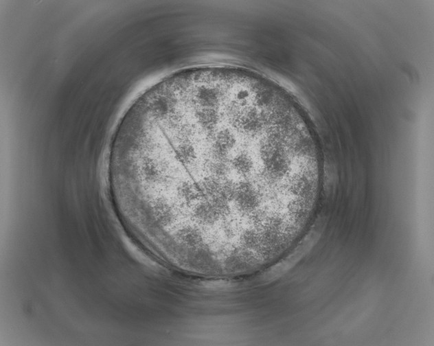 X0000112761421200910011206