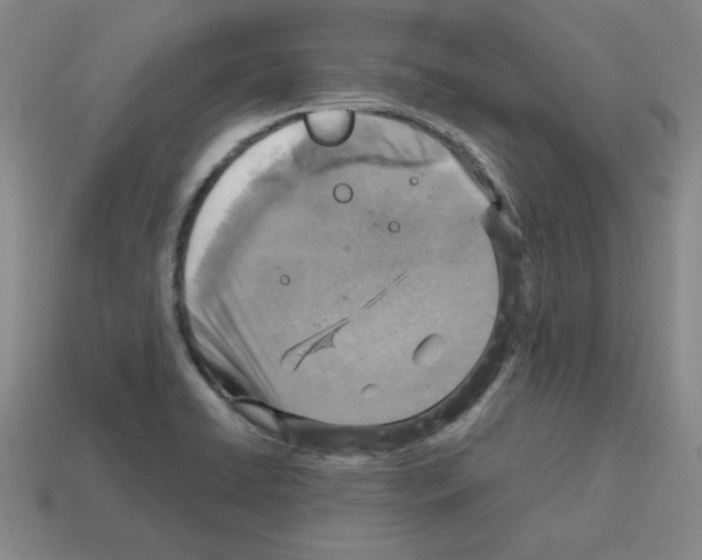 X0000112761422200910011206