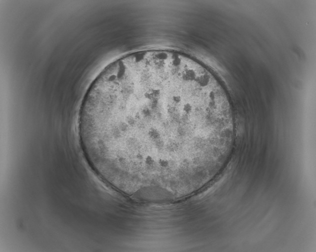 X0000112761423200910011206