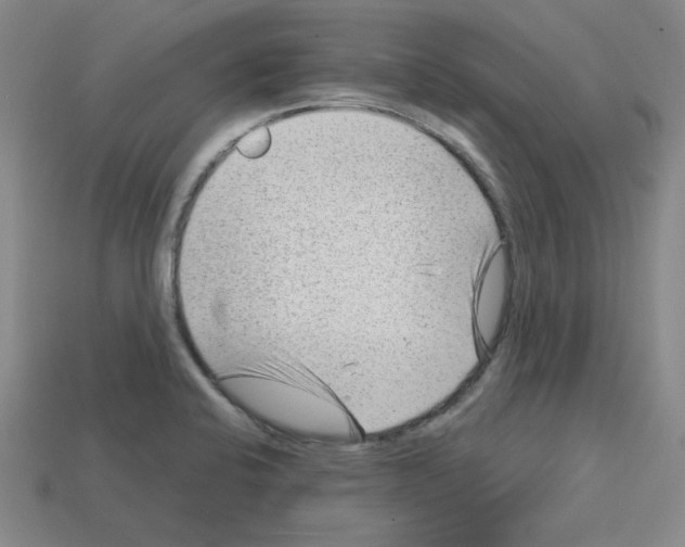 X0000112761424200910011206