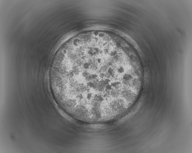 X0000112761425200910011206