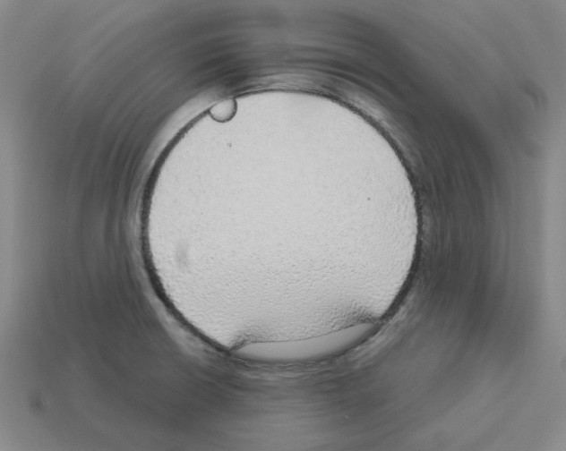 X0000112761426200910011206