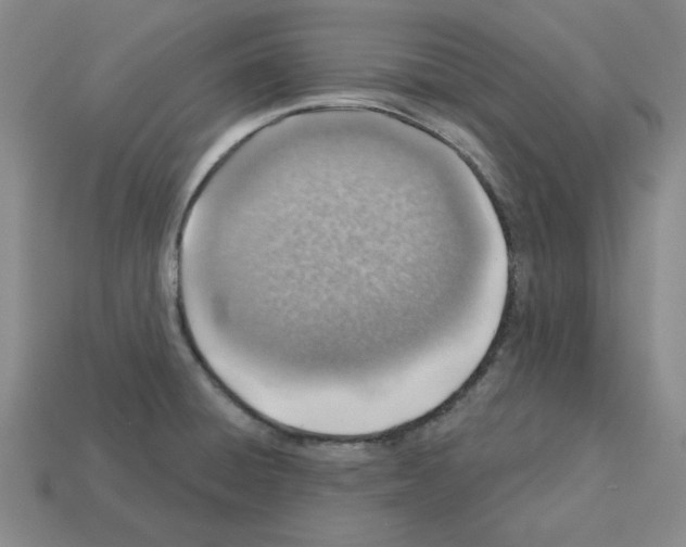X0000112761428200910011206