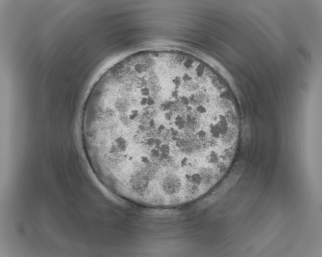 X0000112761429200910011206
