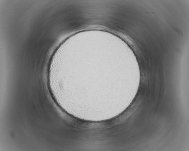 X0000112761430200910011206