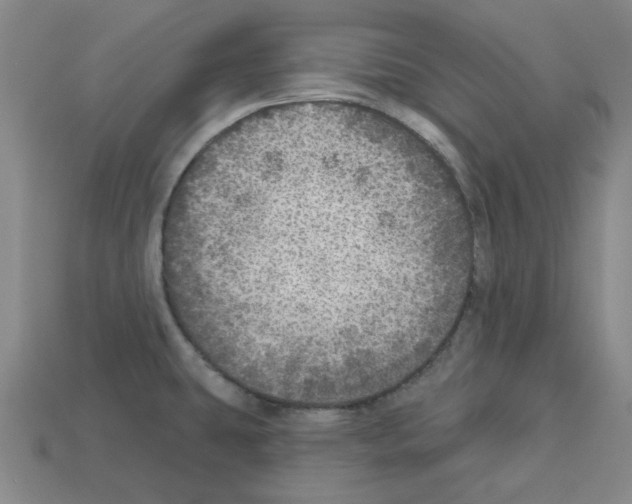X0000112761431200910011206