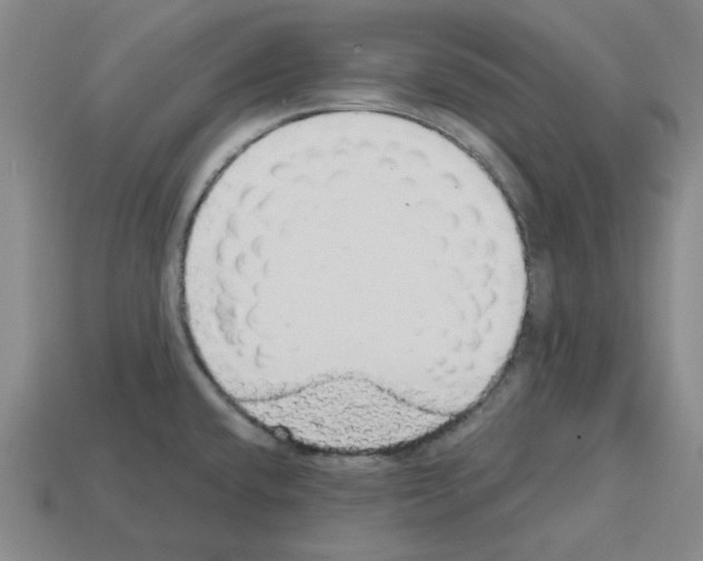 X0000112761432200910011206
