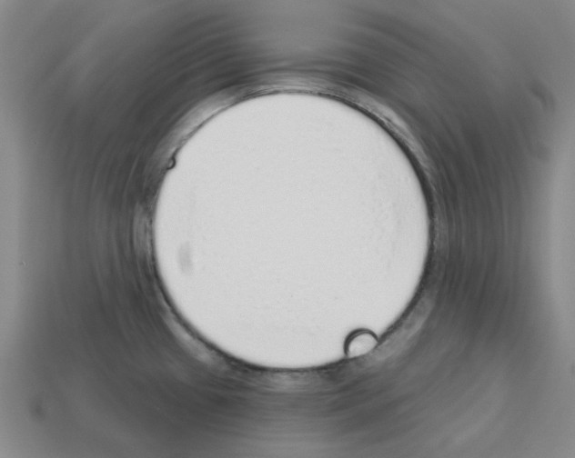 X0000112761433200910011206