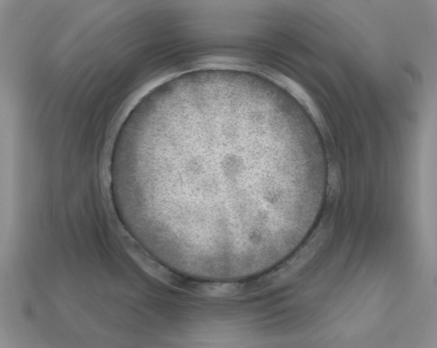 X0000112761435200910011206