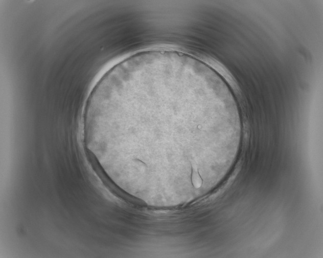 X0000112761436200910011206
