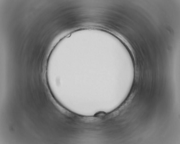 X0000112761437200910011206