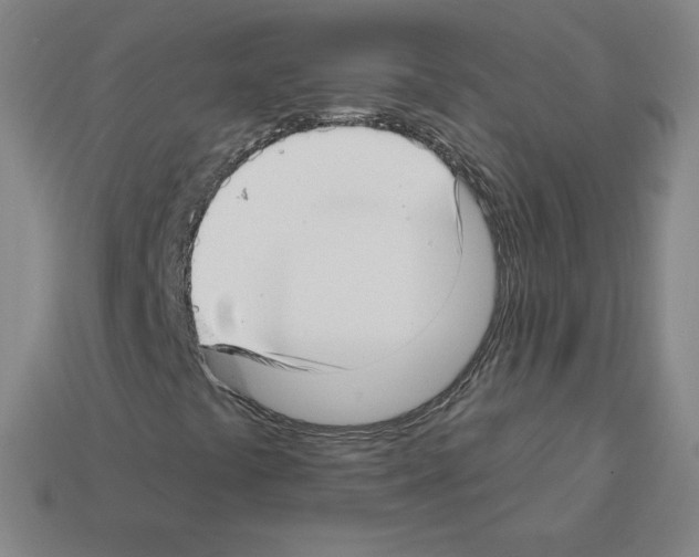 X0000112761441200910011206