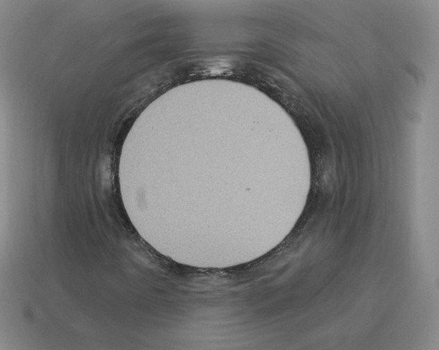 X0000112761442200910011206