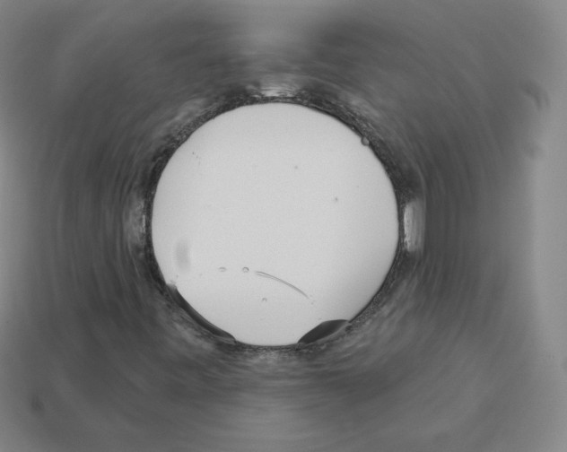 X0000112761443200910011206