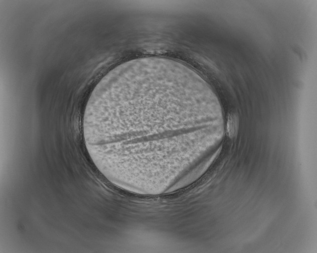 X0000112761444200910011206