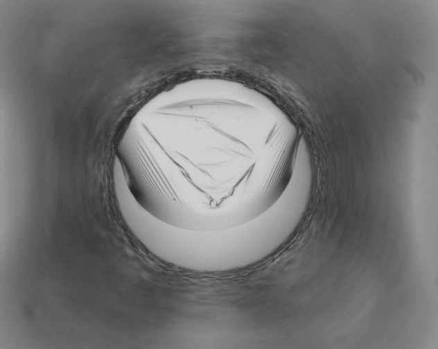 X0000112761445200910011206