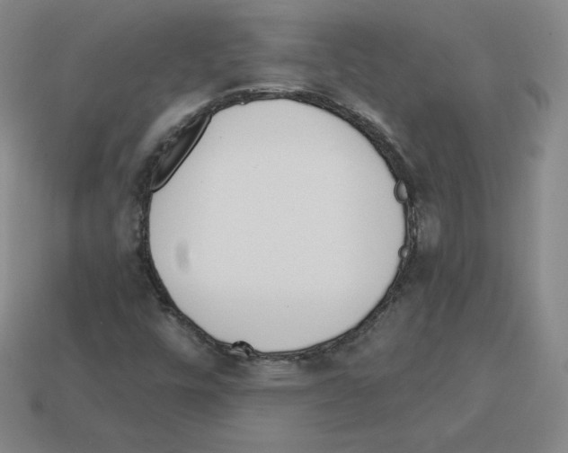 X0000112761448200910011206