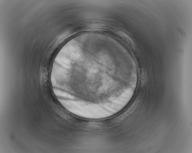 X0000112761449200910011206
