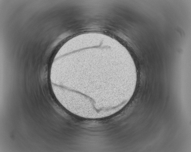 X0000112761450200910011206