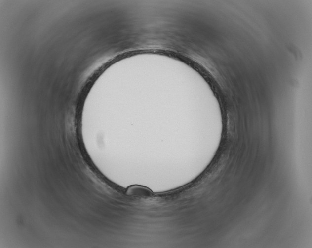 X0000112761452200910011206